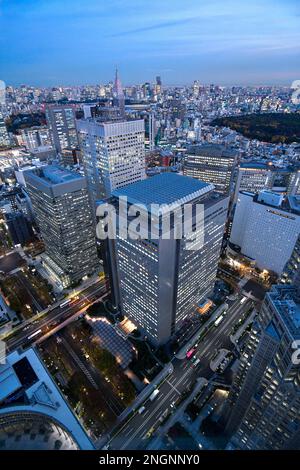 Blick auf Tokio, Japan vom Metropolitan Government Building. Stockfoto