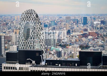 Blick auf Tokio, Japan vom Metropolitan Government Building. Stockfoto