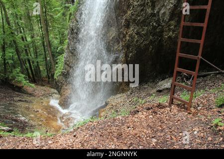 Wunderschöne Wasserfälle auf dem Touristenpfad im Slovak Paradise National Park, Slovaki. Slowakei Stockfoto