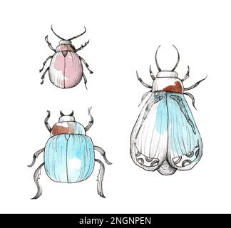 Set aus handgezeichneten Käfern und Motten. Aquarelldarstellung. Stockfoto