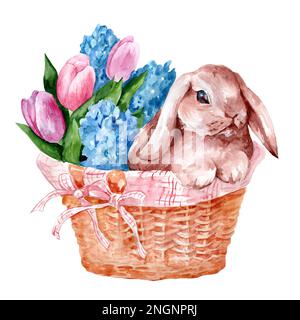 Der Osterhase in Aquarellfarben in einem Korb mit Frühlingsblumen. Tulpen und Delphinien. Süße Illustration mit Tieren. Stockfoto