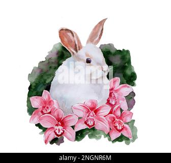 Aquarellzeichnung eines weißen Kaninchens mit Orchideenblüten Stockfoto