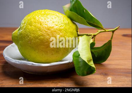 Zitronencitron Cedrate oder Citrus Medica, große, duftende Zitrusfrüchte mit dicker Rinde für die Herstellung von italienischem Limonchello Likör Stockfoto