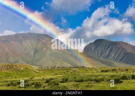 Regenbogen über den westlichen Maui Bergen im Frühling. Stockfoto
