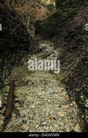 Ein nasser Pfad, der durch Bäche im Slovak Paradise National Park verläuft. Slowakei Stockfoto