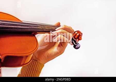 Die linke Hand eines jungen Violinisten auf den Saiten einer Studentengeige auf einem hellen Hintergrund. Musikalische Erziehung Stockfoto