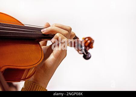 Die linke Hand eines jungen Violinisten auf den Saiten einer Studentengeige auf einem hellen Hintergrund. Musikalische Erziehung Stockfoto