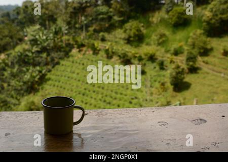 Kaffeetasse auf einer Kaffeeplantage. Salento. Quindio. Kolumbien Stockfoto