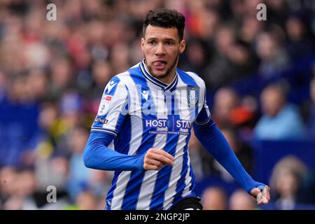 Sheffield, Großbritannien. 18. Februar 2023. Marvin Johnson #18 of Sheffield Wednesday während des Sky Bet League 1-Spiels Sheffield Wednesday vs MK Dons at Hillsborough, Sheffield, Großbritannien, 18. Februar 2023 (Foto von Steve Flynn/News Images) in Sheffield, Großbritannien, am 2./18. Februar 2023. (Foto: Steve Flynn/News Images/Sipa USA) Guthaben: SIPA USA/Alamy Live News Stockfoto