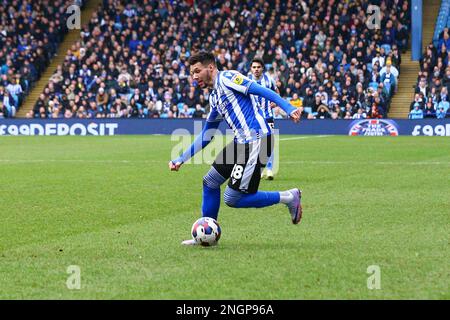 Hillsborough Stadium, Sheffield, England - 18. Februar 2023 Marvin Johnson (18) of Sheffield Wednesday - während des Spiels Sheffield Wednesday V MK Dons, Sky Bet League One, 2022/23, Hillsborough Stadium, Sheffield, England - 18. Februar 2023 Guthaben: Arthur Haigh/WhiteRosePhotos/Alamy Live News Stockfoto