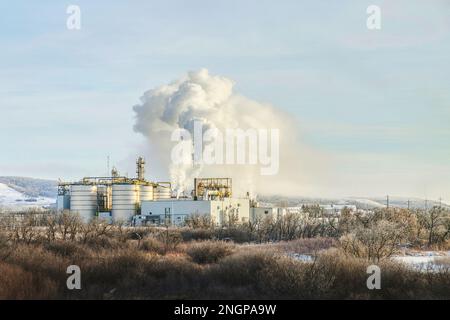 Weiße Wolken von aufgeblähtem Rauch, die aus der Öltankraffinerie in den Himmel driften Stockfoto