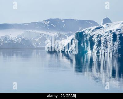 Nebel über riesigen Eisbergen vom Ilulissat Icefjord, gestrandet auf einer ehemaligen Terminalmoräne in Ilulissat, Grönland. Stockfoto