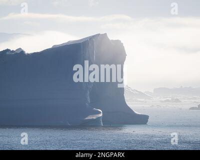 Nebel über riesigen Eisbergen vom Ilulissat Icefjord, gestrandet auf einer ehemaligen Terminalmoräne in Ilulissat, Grönland. Stockfoto