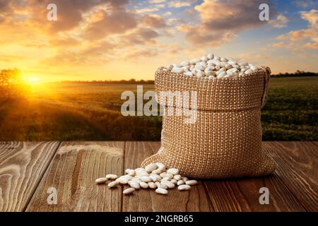 Weiße Bohnen in Leinensack auf dem Tisch mit Landwirtschaftsfeld bei Sonnenuntergang Stockfoto