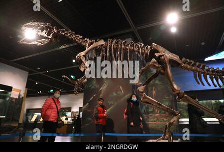 Shenyang, Chinas Provinz Liaoning. 18. Februar 2023. Touristen besuchen das Liaoning Museum in Shenyang, nordöstliche Chinas Provinz Liaoning, 18. Februar 2023. Kredit: Yao Jianfeng/Xinhua/Alamy Live News Stockfoto