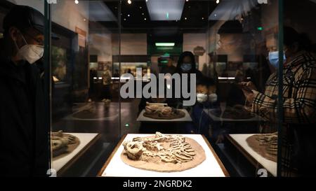 Shenyang, Chinas Provinz Liaoning. 18. Februar 2023. Touristen besuchen das Liaoning Museum in Shenyang, nordöstliche Chinas Provinz Liaoning, 18. Februar 2023. Kredit: Yao Jianfeng/Xinhua/Alamy Live News Stockfoto