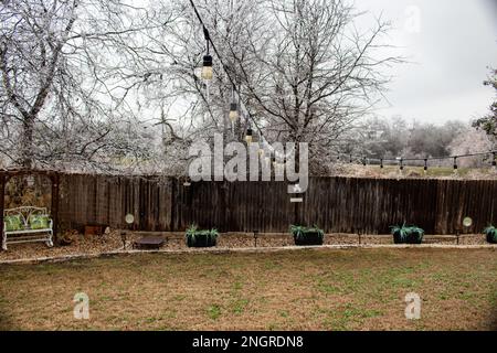 Eiszapfen hängen von Bäumen und Partylichter im Garten Austin Texas Stockfoto