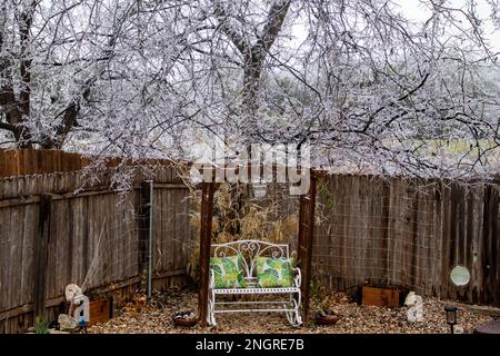 Nach einem Wintersturm in Austin, TX, hängt ein wunderschöner gefrorener, mit Eis bedeckter Kristallbaum über einer Gartenbank Stockfoto