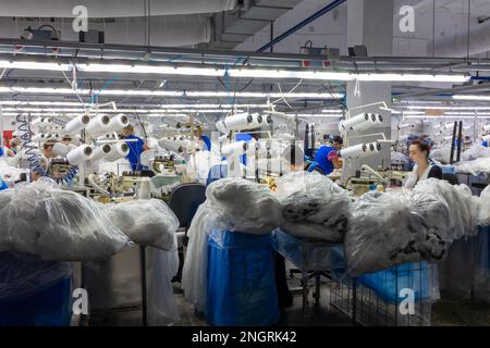 Grodno, Weißrussland - 22. November 2017: Die Frauen sind in der Schneiderei der Strumpfhose in JLLC Conte Spa beschäftigt. Stockfoto