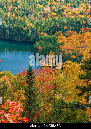 Maine Highlands Landschaft. Little Greenwood Pond - ein Bergsee mit smaragdgrünem Wasser. Mischwald im Hochherbstlaub. Borestone Mountain, Maine. Stockfoto