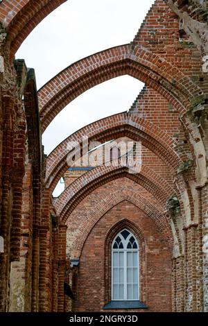 Gewölbte Kuppel einer riesigen gotischen Kuppelkirche in Tartu Stockfoto