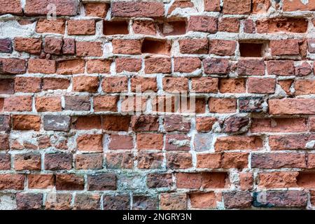 Rote Backsteinwand der Kathedrale von Tartu Stockfoto