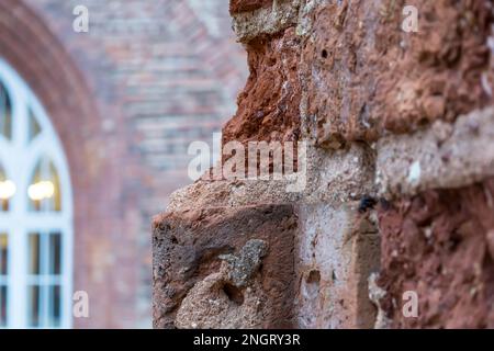 Schließen Sie zu den roten Backsteinruinen der Kathedrale von Tartu Stockfoto