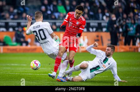 Mönchengladbach, Deutschland. 18. Februar 2023. Nico Elvedi (BMG), Jamal Musiala (München), Christoph Kramer (BMG) Borussia Mönchengladbach - Bayern Münc Stockfoto