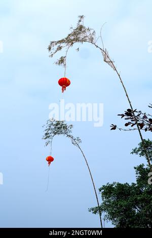 Rote chinesische Laternen, die an einem Bambusbaum vor einem blauen Himmel hängen, schmücken das Mondneujahr in Vinh City, Nghe an Province, Vietnam Stockfoto