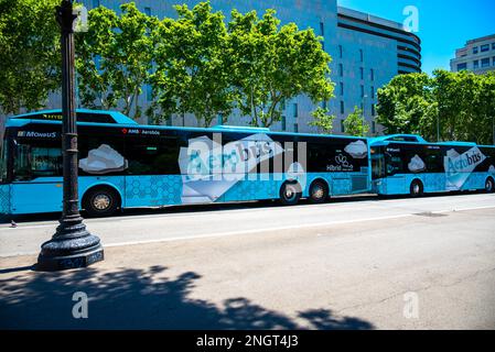 Barcelona, Spanien - Mai 26 2022: An Der Bushaltestelle Am Plaza Catalunya Fahren Zwei Blue Hybrid-Busse. Bus Mit Diesel Und Elektrizität. Stockfoto