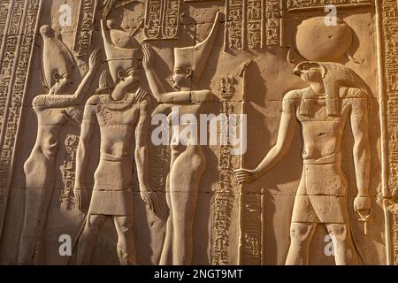 Tempel von Kom Ombo mit Hieroglyphen dekoriert. Kom Ombo im Gouvernement Assuan, Oberägypten. Afrika. Stockfoto