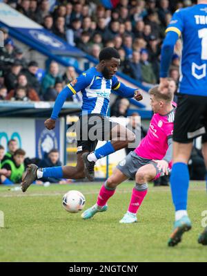 Chester, Cheshire, England, 18. Februar 2023. Chester's Kieran Coates tackeld, während des Chester Football Club V Boston United Football Club , in der Vanarama National League North (Bild: ©Cody Froggatt/Alamy Live News) Stockfoto