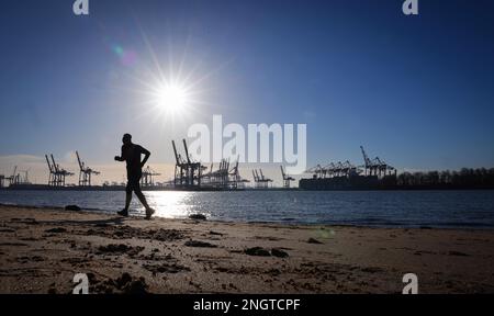 Hamburg, Deutschland. 19. Februar 2023. Ein Jogger ist draußen am Elbstrand bei Oevelgönne in hellem Sonnenschein. Kredit: Christian Charisius/dpa/Alamy Live News Stockfoto