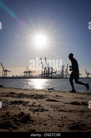 Hamburg, Deutschland. 19. Februar 2023. Ein Jogger ist draußen am Elbstrand bei Oevelgönne in hellem Sonnenschein. Kredit: Christian Charisius/dpa/Alamy Live News Stockfoto