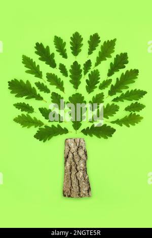 Surreale Eiche abstraktes Konzeptsymbol mit grünen Blättern und Stamm. Abstraktes, umweltfreundliches Design für Marken und Logos. Auf Grün. Stockfoto