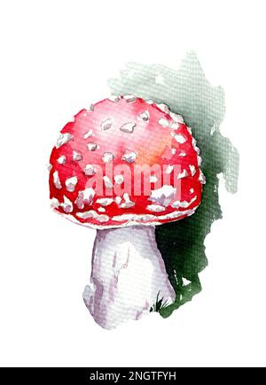 Aquarellzeichnung eines Pilzes auf weißem Hintergrund Stockfoto
