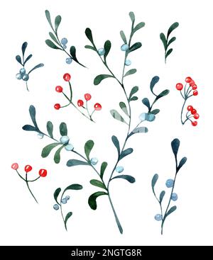 Aquarelle Zweige aus Mistelzweigen und roten Weihnachtsbeeren auf weißem Hintergrund. Winter, Weihnachten, Neujahr. Stockfoto