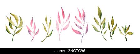 Tropische Aquarelle mit Blättern. Set mit Blumenillustrierungen. Exotische Blätter isoliert auf weißem Hintergrund. Kollektion mit Blumen für Einladungen Stockfoto