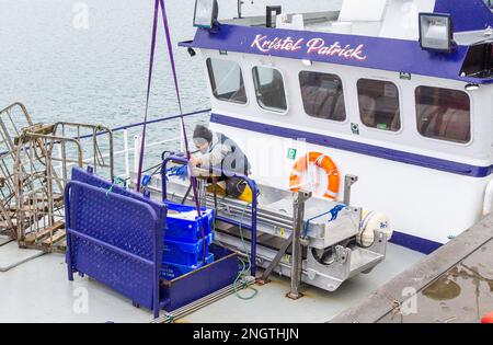 Fischer, die Fänge von Trawler anlanden. Stockfoto