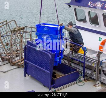 Fischer, die Fänge von Trawler anlanden. Stockfoto