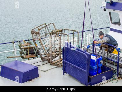 Fischer, die Fänge von Trawler anlanden. Stockfoto