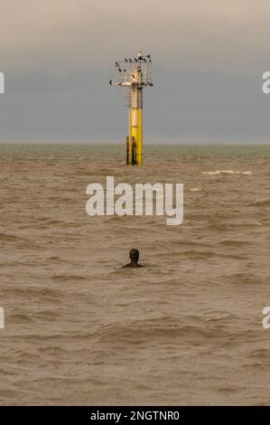 Margate, Großbritannien. 18. Februar 2023 Besucher besuchen Antony Gormley: Ein anderes Mal, am Nayland Rock, neben dem Turner Contemporary, in Margate. Das Werk wird erst enthüllt, wenn die Flut zurückgeht. Es ist eine von hundert soliden gusseisernen Figuren von Antony Gormley, die die Erfahrung des menschlichen Wesens erforschen. Leben an der Margate Küste. Kredit: Guy Bell/Alamy Live News Stockfoto