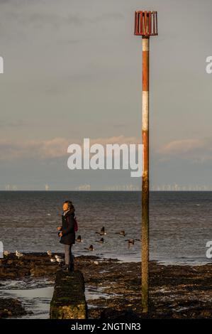 Margate, Großbritannien. 17. Februar 2023 Genießen Sie den Strand und die Felsenpools mit der riesigen Thames Estuary Windfarm im Hintergrund. Leben an der Margate Küste. Kredit: Guy Bell/Alamy Live News Stockfoto