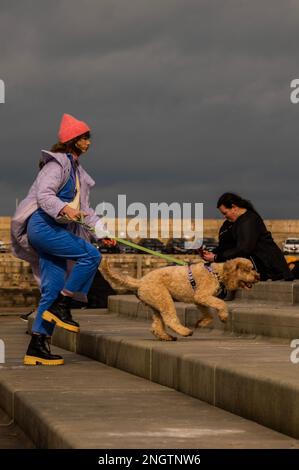 Margate, Großbritannien. 18. Februar 2023 Mit dem Hund an der Hafenmauer und am Strand spazieren gehen - Leben an der Margate Küste. Kredit: Guy Bell/Alamy Live News Stockfoto