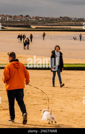 Margate, Großbritannien. 18. Februar 2023 Mit dem Hund an der Hafenmauer und am Strand spazieren gehen - Leben an der Margate Küste. Kredit: Guy Bell/Alamy Live News Stockfoto