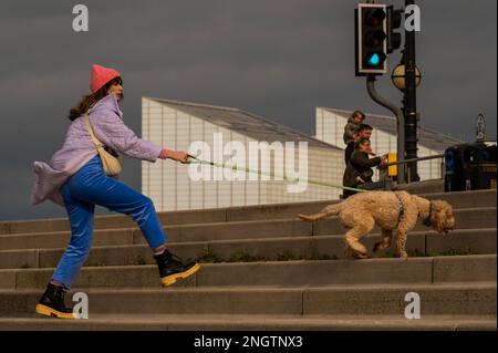 Margate, Großbritannien. 18. Februar 2023 Mit dem Hund an der Hafenmauer und am Strand spazieren gehen - Leben an der Margate Küste. Kredit: Guy Bell/Alamy Live News Stockfoto