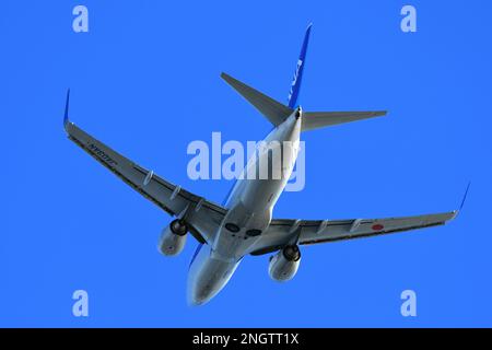 Tokio, Japan - 26. Dezember 2020: Alle Nippon Airways (ANA) Boeing B737-700 (JA03AN) Passagierflugzeuge. Stockfoto