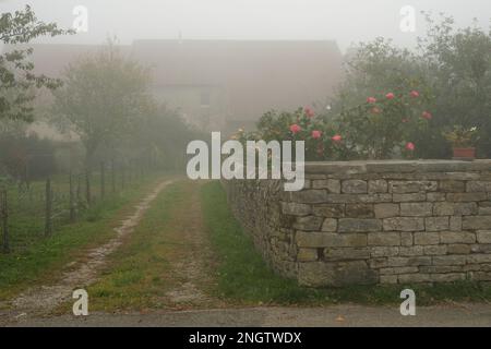 Garten vor dem alten Landhaus, nebiges Wetter auf dem Land Frankreichs Stockfoto