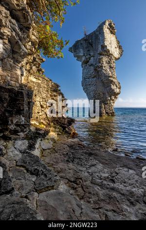 Blumentopf Insel Stockfoto