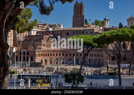 Trajans Marktforum ist ein großer Ruinenkomplex auf der Via dei Fori Imperiali in der Stadt Rom, Italien. Stockfoto